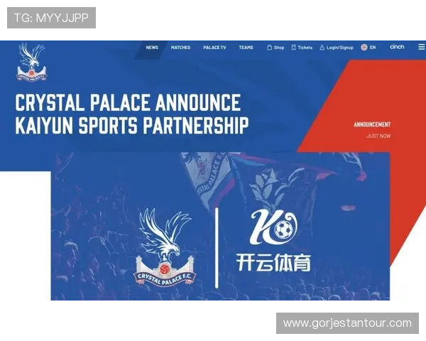 深入分析开云体育入口平台的优缺点，帮助用户作出明智选择