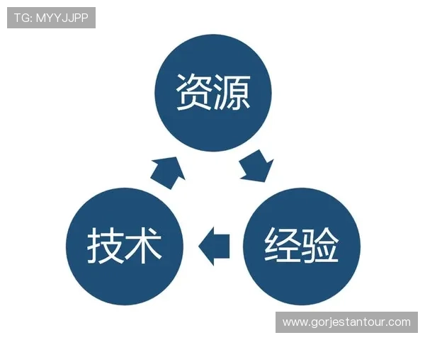 中国开云集团在中国的业务布局和主要运营城市详细分析