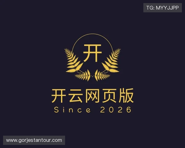 关于开云网页版